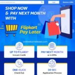 Flipkart Pay Later