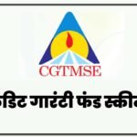 CGTMSE Scheme Loan